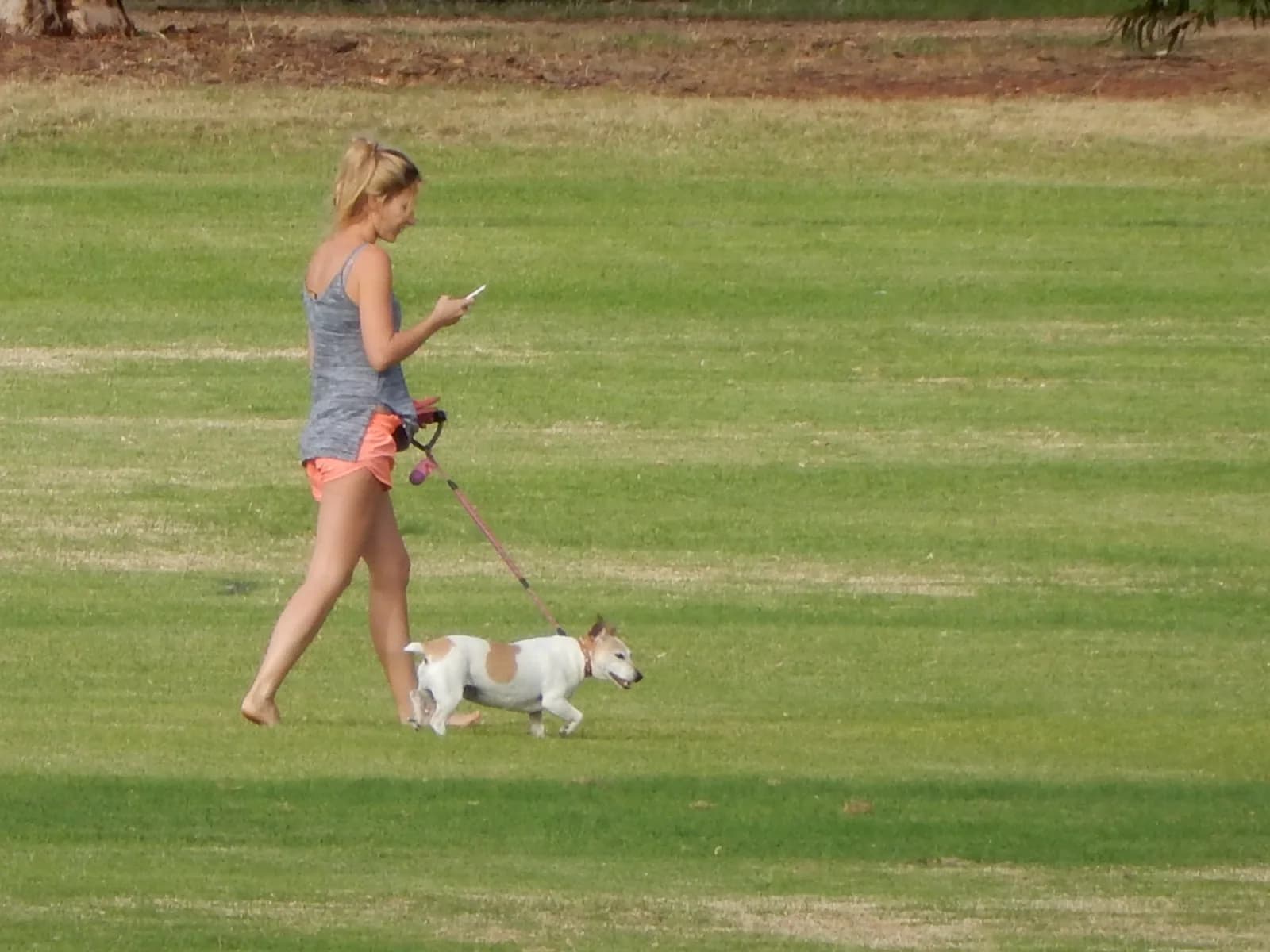 A person walking barefoot on grass in a park with a dog